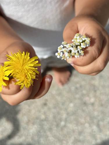 Litt blomster til pynt i en vase, er alltid fint
